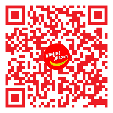 Pre-arrival immigration declaration at Tan Son Nhat International Airport