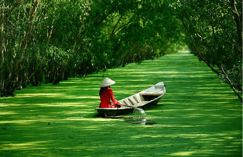 Mekong Delta - a world afloat